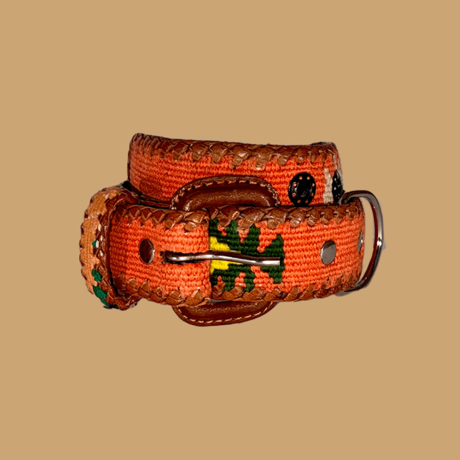 Salmon - Hundehalsband - ANTIG BELTS